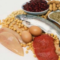 نانوذرات پروتئینی در دارورسانی 1 - پروتئین&zwnj;&zwnj;های حیوانی